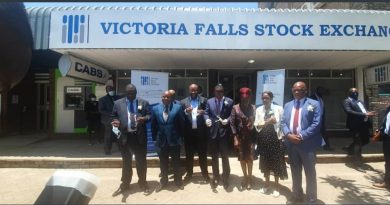 RioZim plans to list on Victoria Falls Stock Exchange